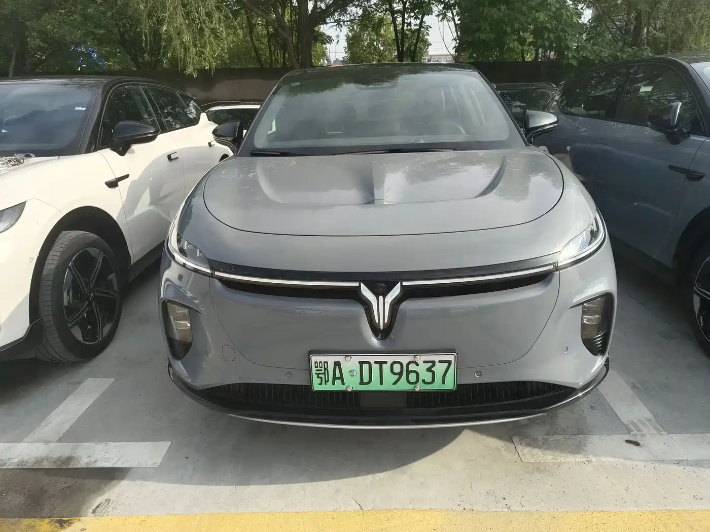 Voyah Auto Voyah Zhiyin 2024 Long Range Super Charging Edition