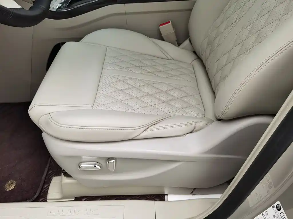 Buick GL8, миниатюра 20