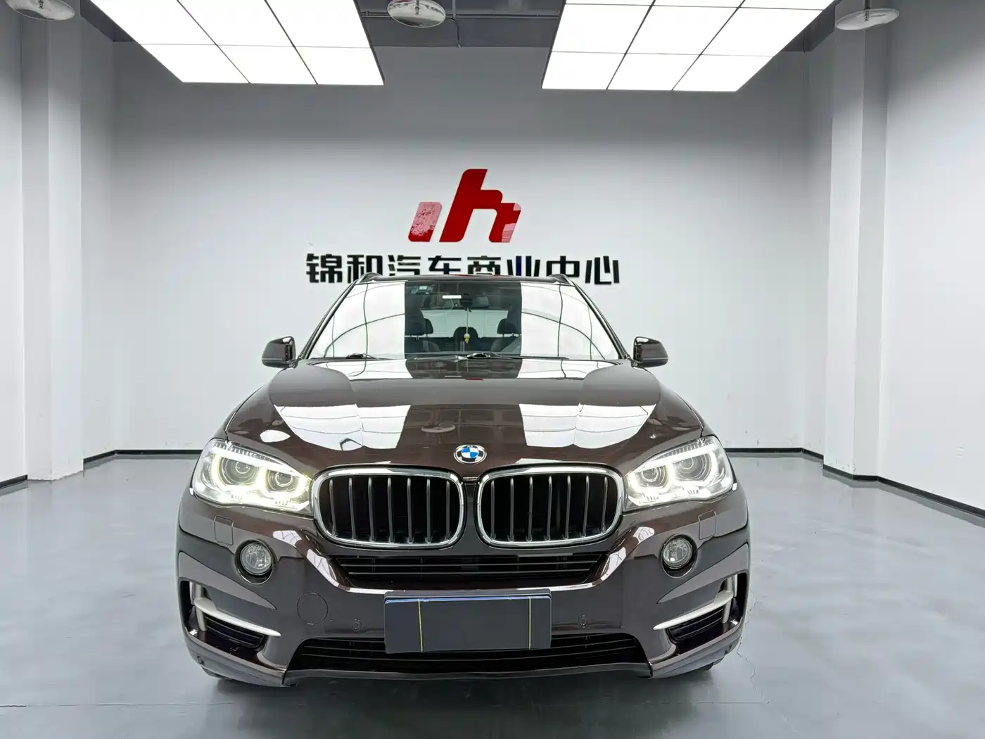 BMW X5 (Import) 2014 xDrive35i Elegance