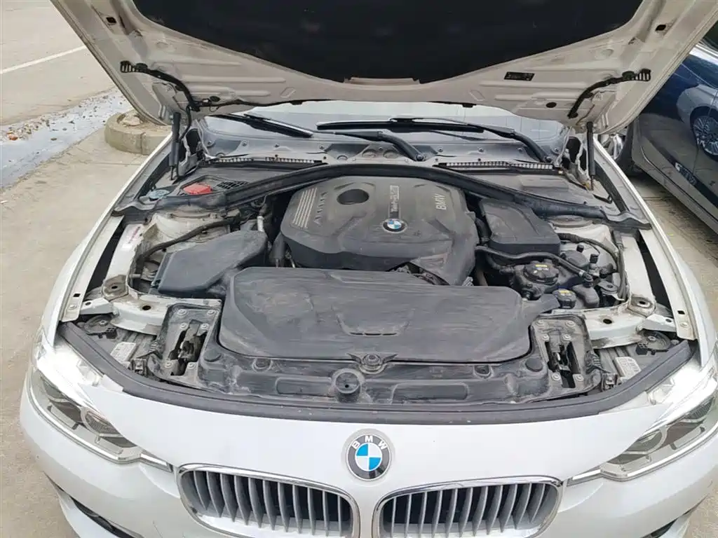 BMW 3 Series 2018 320Li Fashion Style фото 20