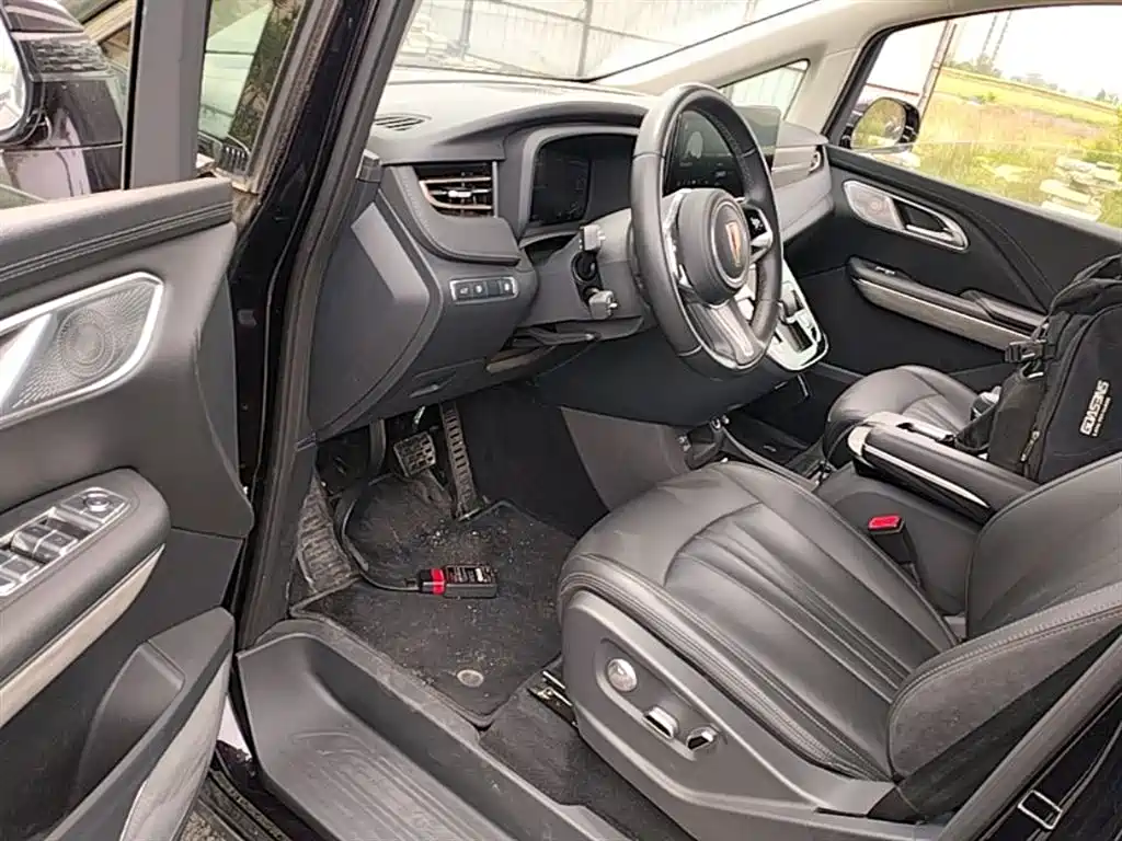 Hongqi HQ9 PHEV 2024 Model 2.0T AWD Business Edition фото 16