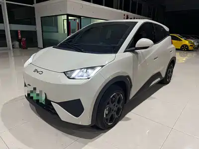 BYD Seagull