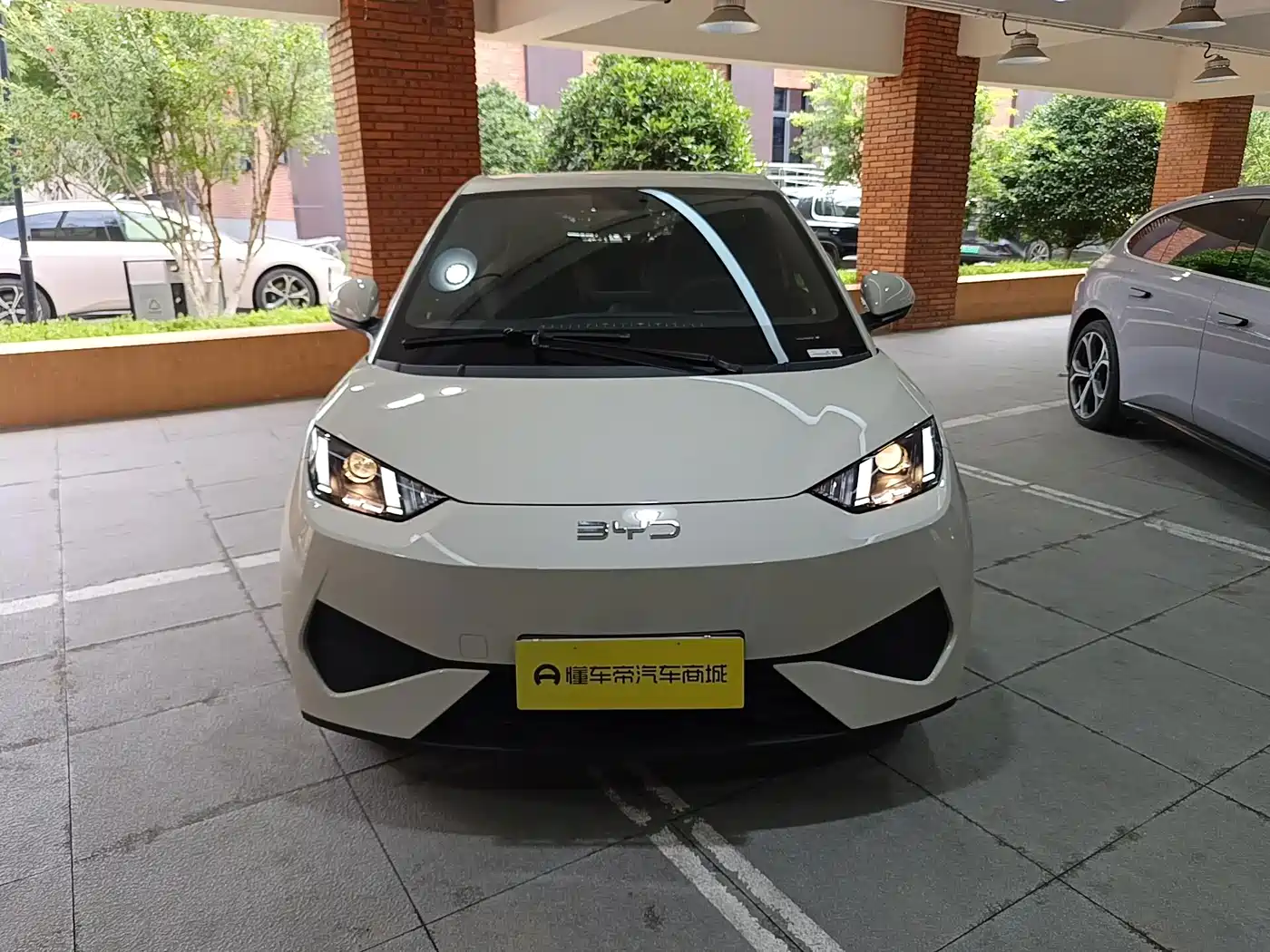 BYD Seagull 2026 2025 Smart Drive Edition 305km Vitality Version