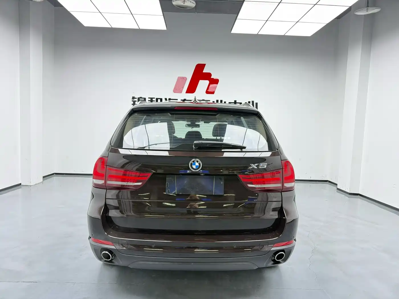 BMW X5 (Import) 2014 xDrive35i Elegance фото 3