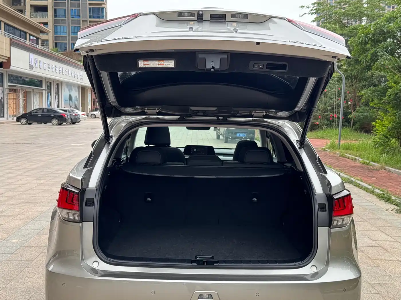 Lexus RX 2020 300 AWD Elegance Edition China V фото 24