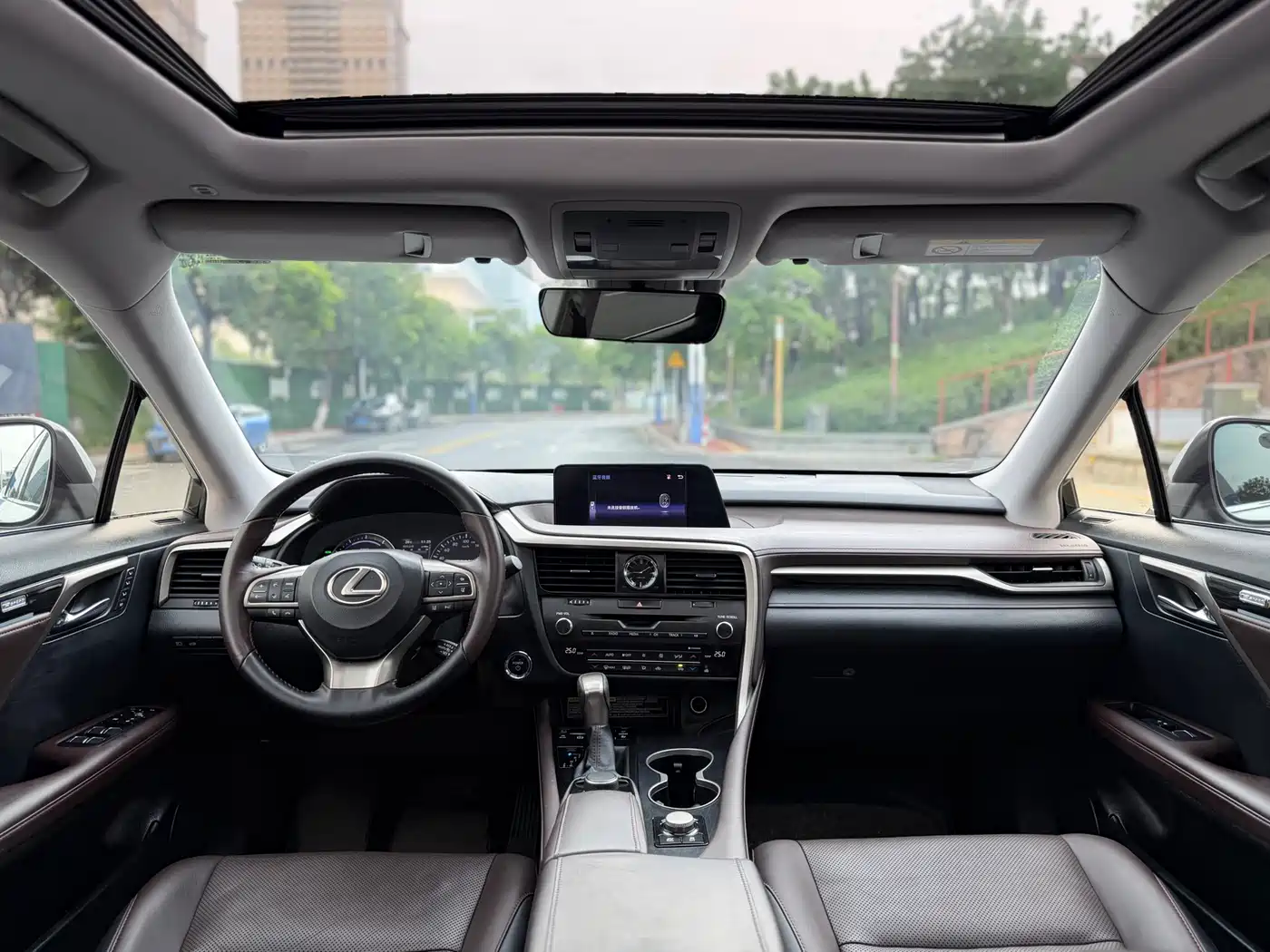 LEXUS RX