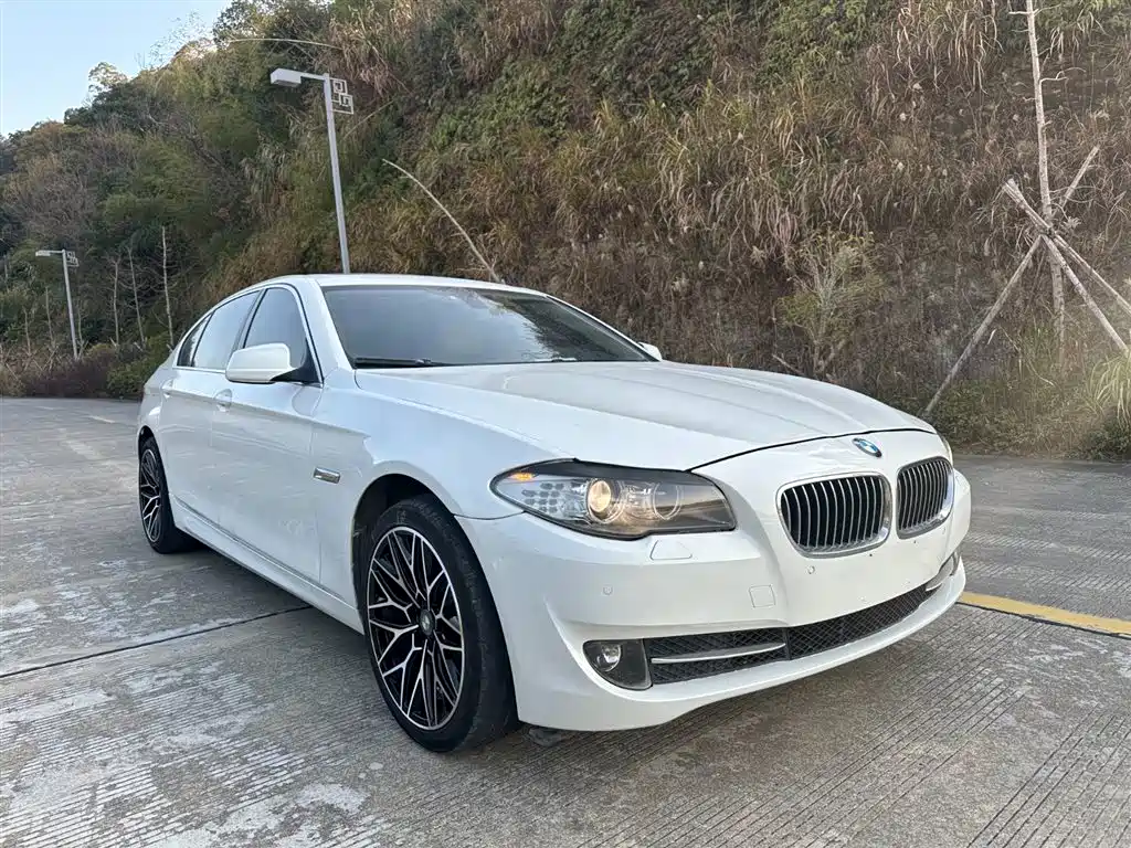 BMW 5 Series 2012 523Li Luxury фото 24