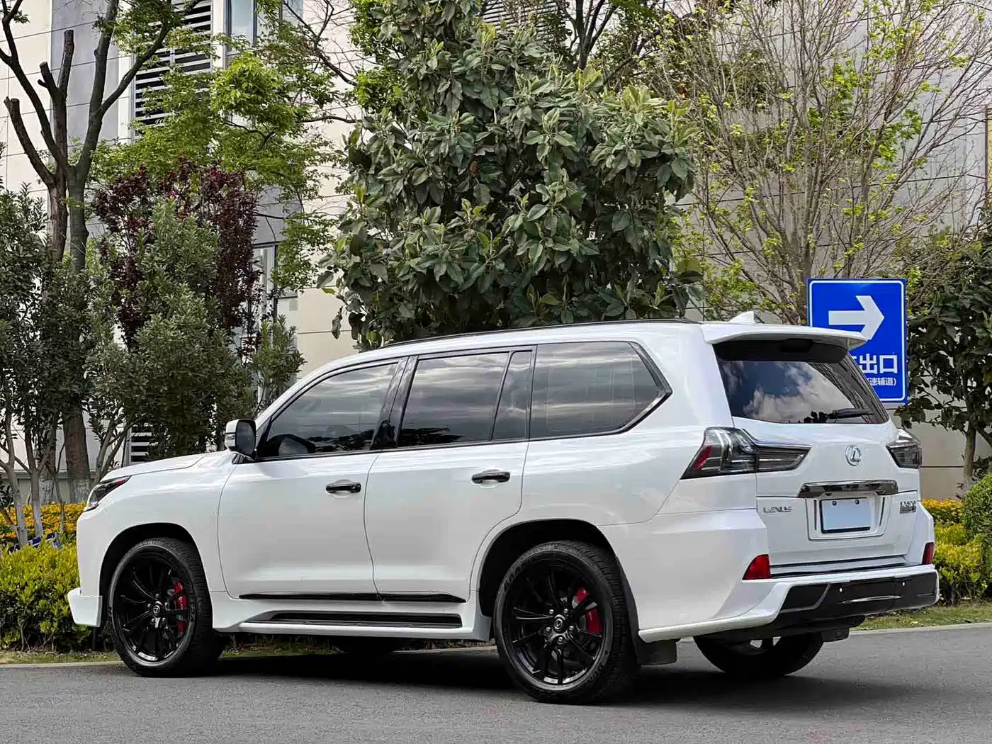 Lexus LX 2016 570 Luxury Premium Edition фото 8