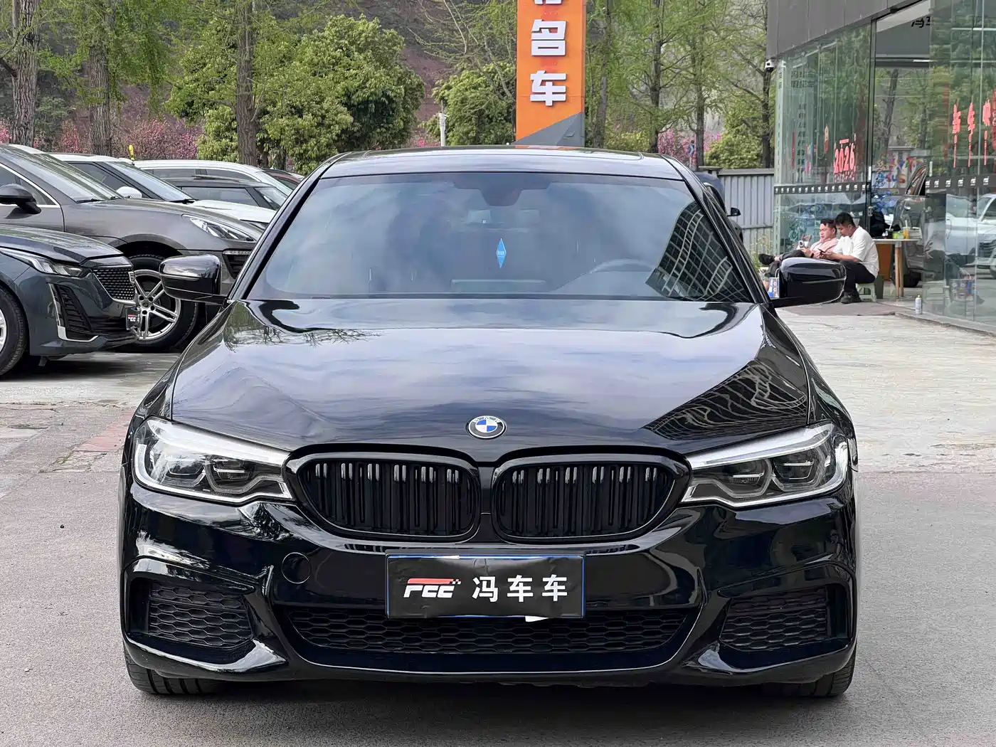 BMW 5 Series 2020 530Li Leading M Sport Package