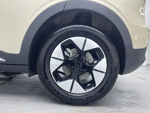 Geely Galaxy Starry Wish 2025 310km Dream Edition фото 16