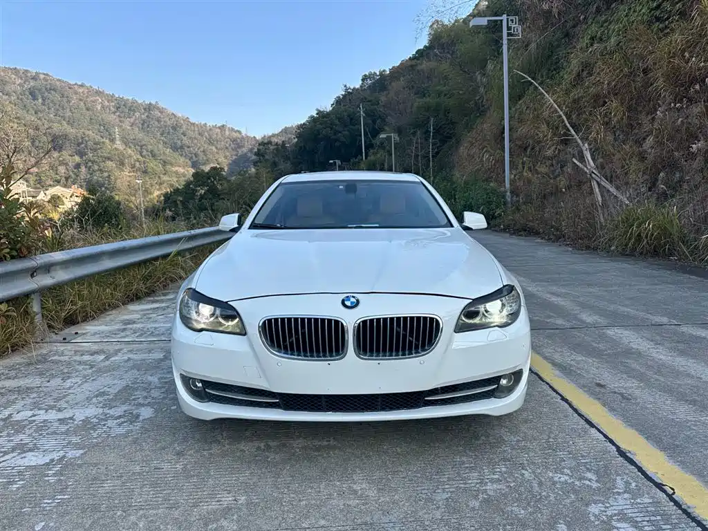 BMW 5 Series 2012 523Li Luxury фото 25