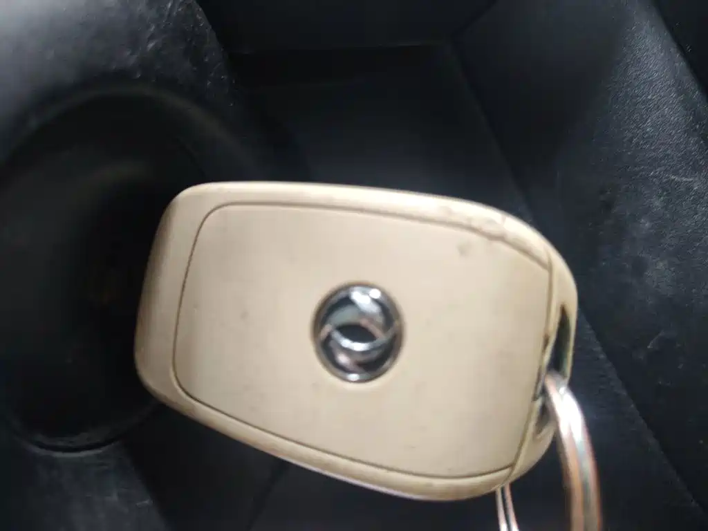 Dongfeng Yipai Dongfeng Nano EX1 2021 2021 Quality Action Edition