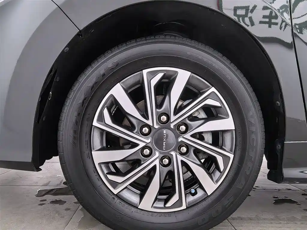 SAIC MAXUS CHASE G20