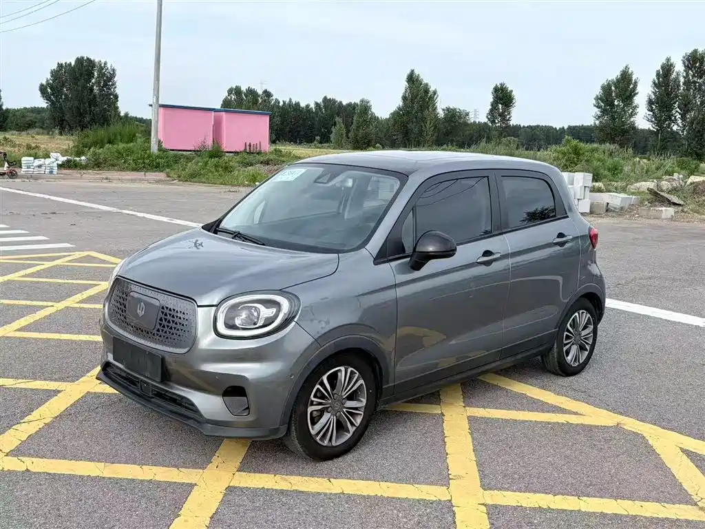 Leapmotor T03 2020 2020 400 Luxury Edition