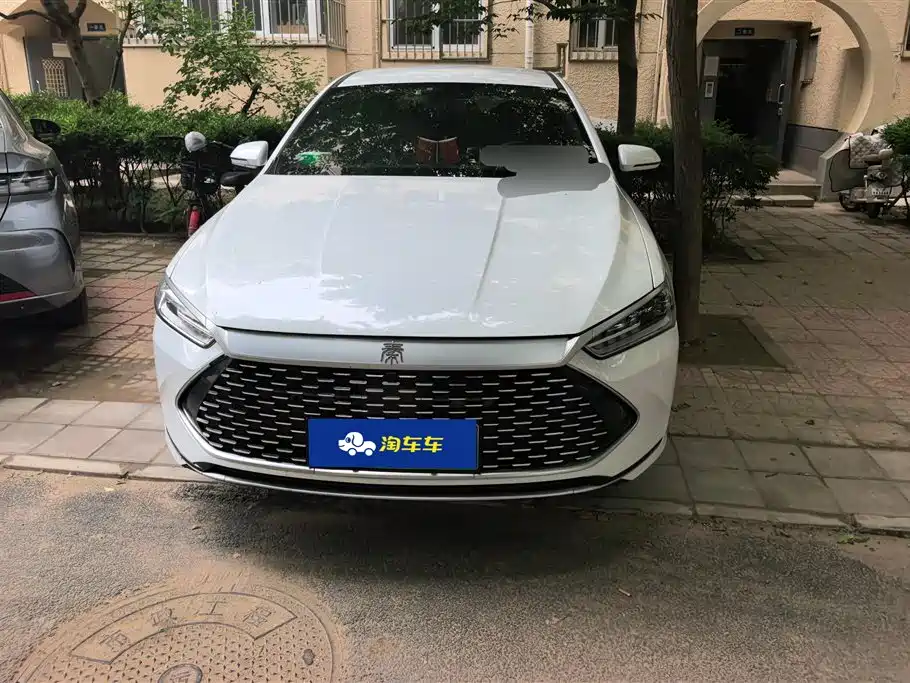 BYD Qin PLUS 2023 Champion Edition DM-i 55KM Leading фото 2
