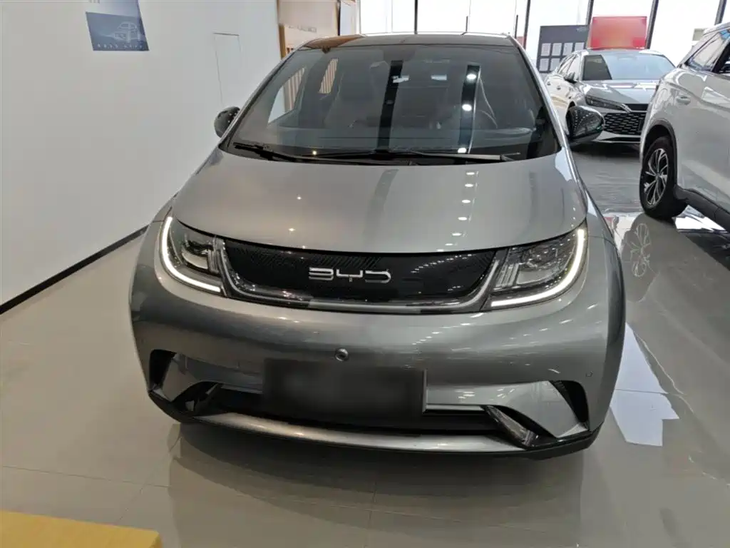 BYD Dolphin 2024 Glory Edition 420km Fashion Edition фото 3