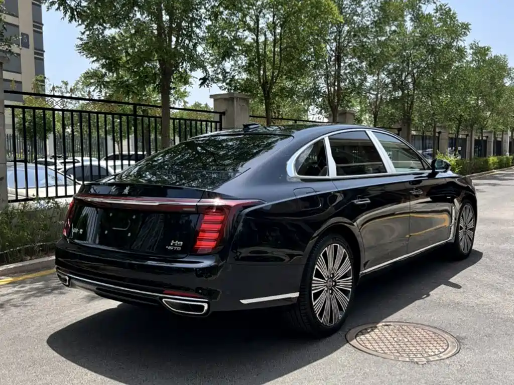 Фото 3 - Hongqi H9