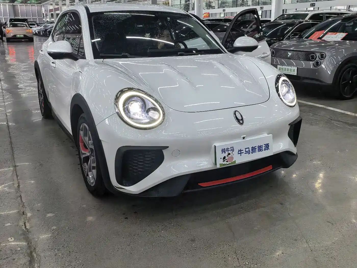 Ora Good Cat GT 2023 2023 Mulan Edition 401km Premium Model
