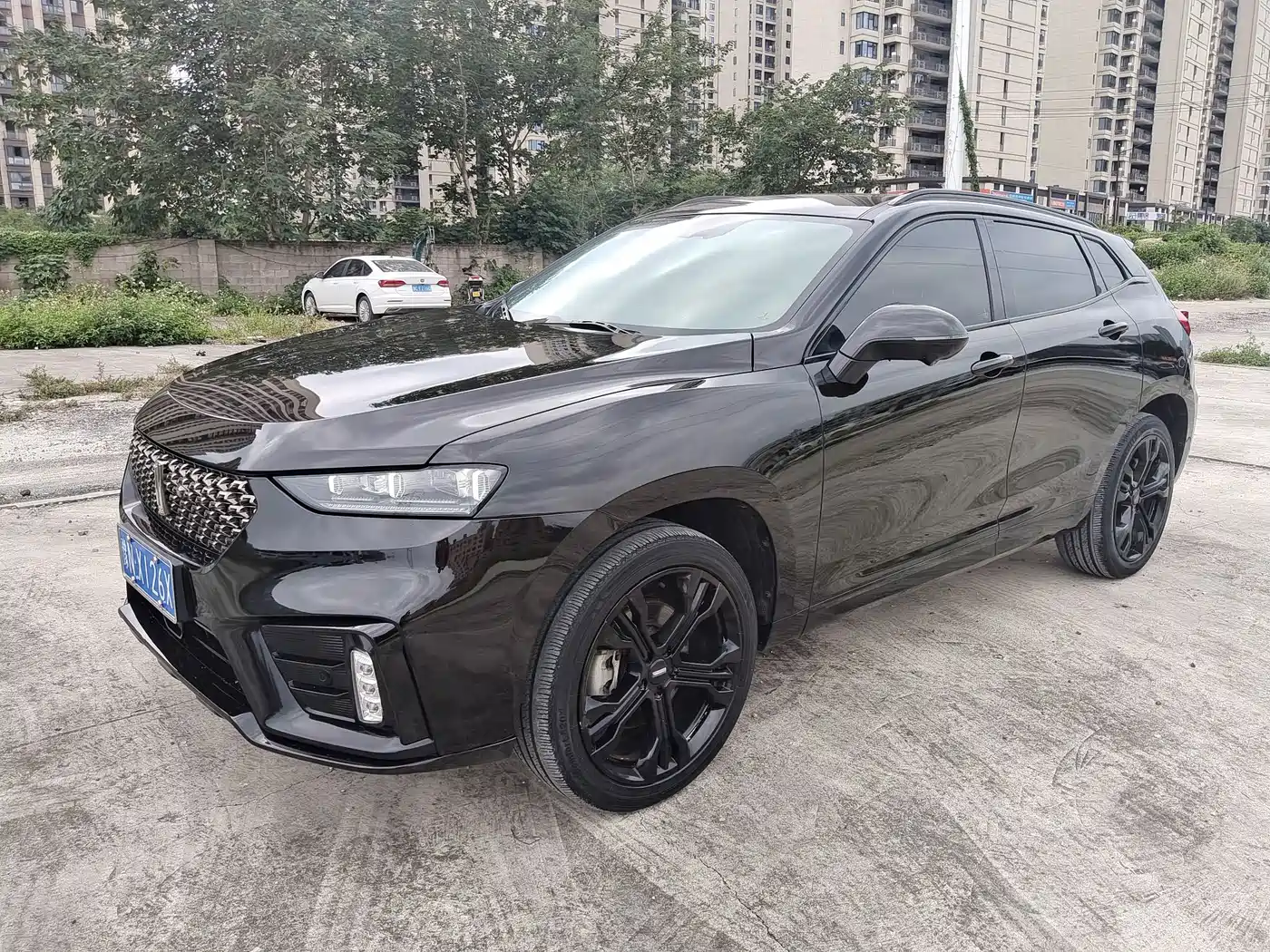 WEY VV7 2020 2020 Model 2.0T Flagship