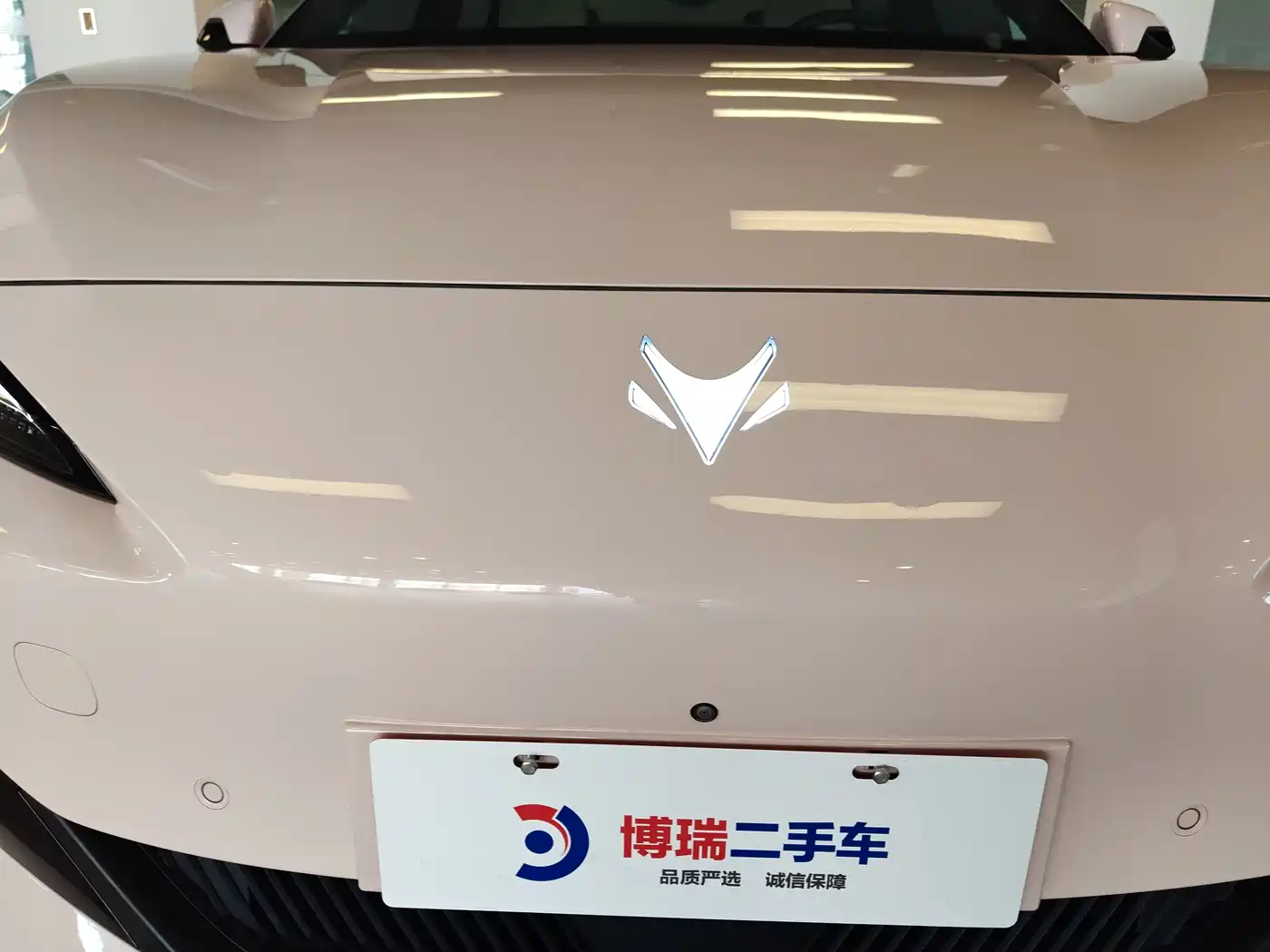 ARCFOX EXTREME FOX POLAR FOX ALPHA S5