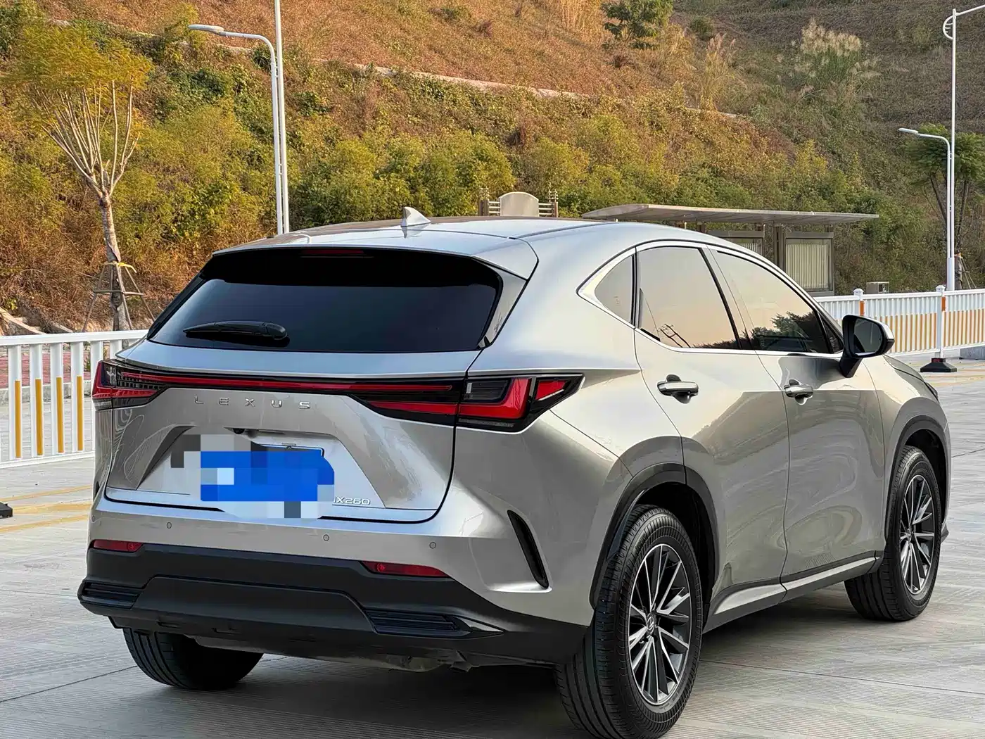 LEXUS NX