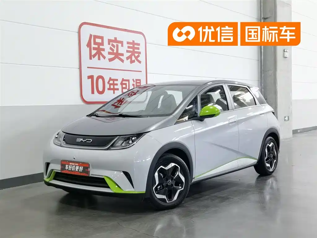 BYD Dolphin 2021 Model 405km Fashion Edition