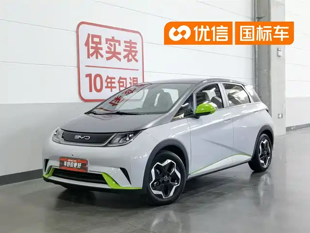 BYD Dolphin 2021 Model 405km Fashion Edition