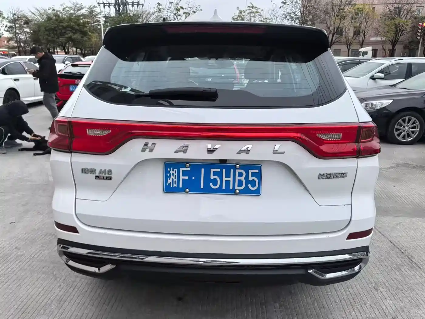 HAVAL M6
