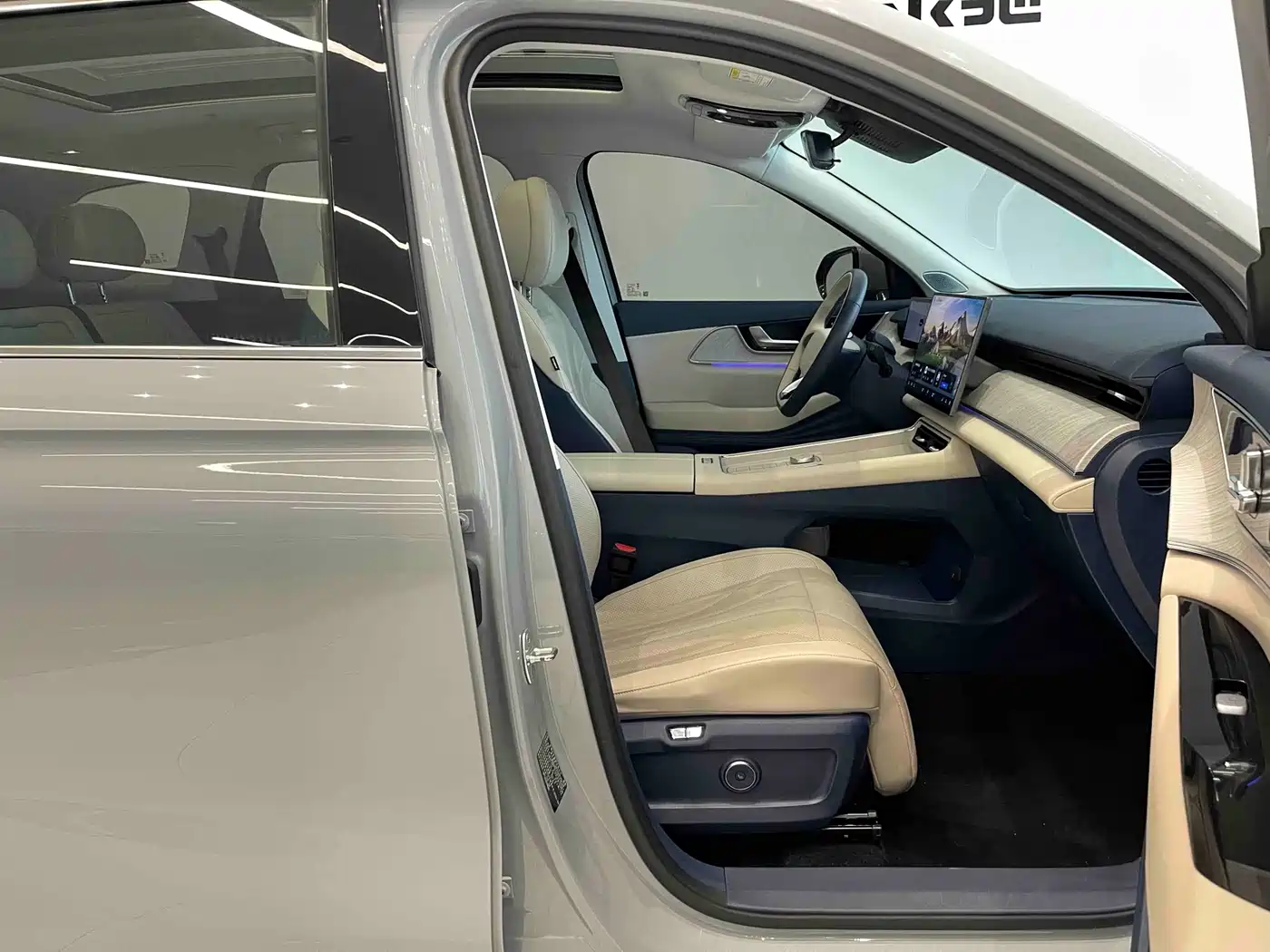Chery Fengyun Fengyun T9 2024 2024 120 Long Range Flagship 7-seater LFP