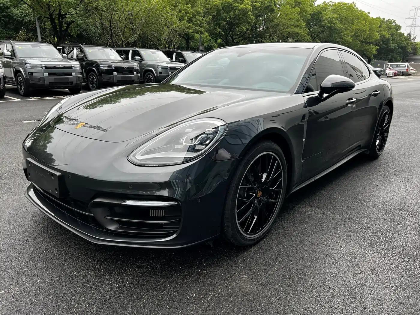 Porsche Panamera 2023 Panamera 2.9T Platinum Edition