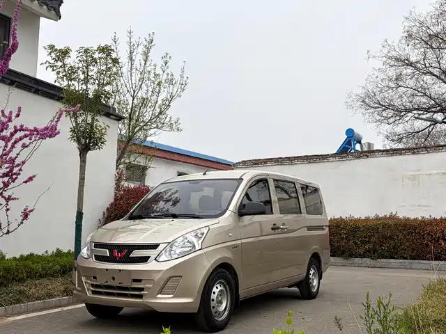 WULING WULING RONGGUANG V