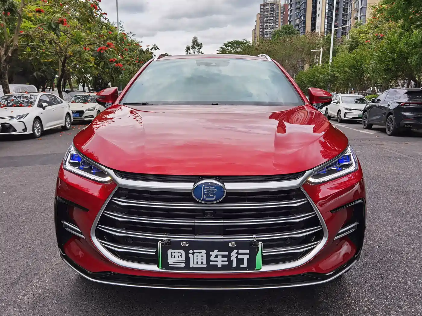 BYD Tang New Energy 2021 DM 2.0T AWD High Performance Premium фото 2