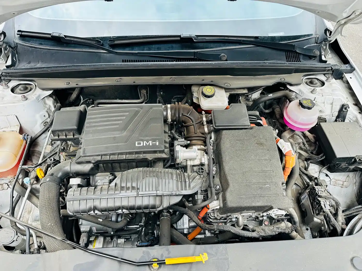 BYD Qin PLUS 2024 Glory Edition DM-i 55KM Leading фото 18