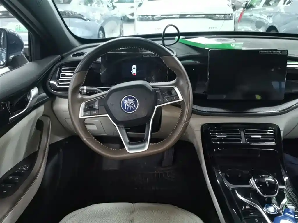 BYD Qin PLUS 2024 Glory Edition DM-i 55KM Leading фото 11