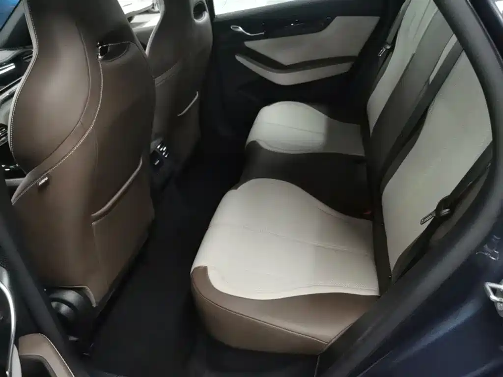 BYD Qin PLUS 2024 Glory Edition DM-i 55KM Leading фото 17