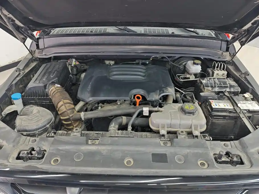 Tank 300 2024 Model 2.0T Challenger фото 10