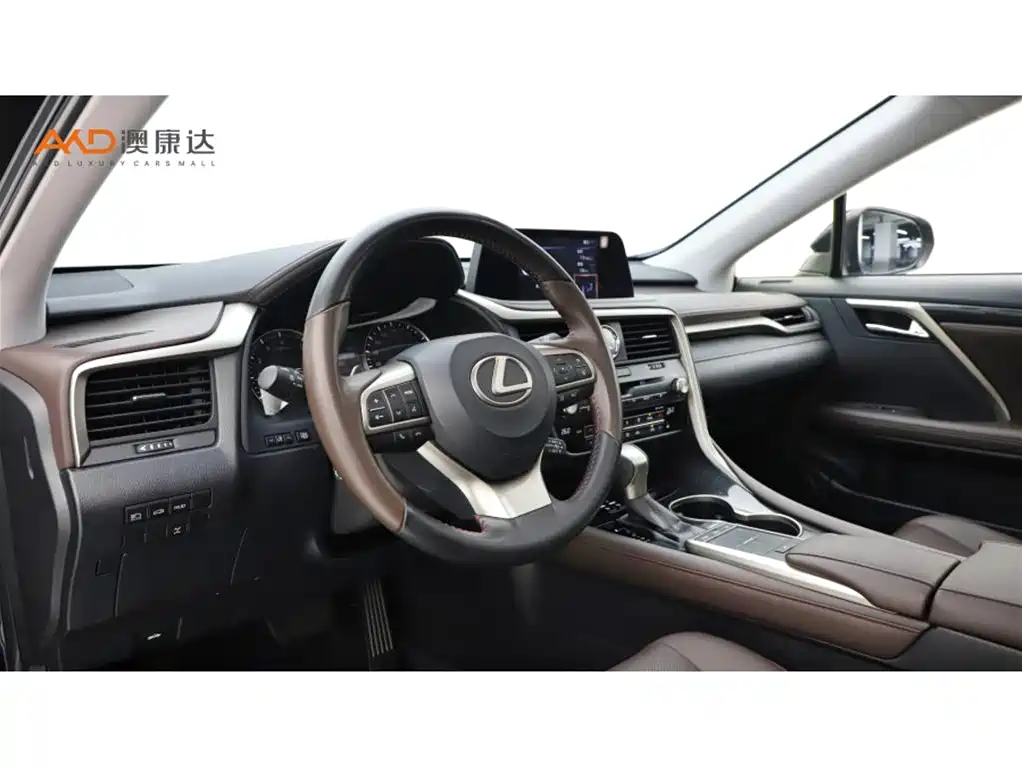 Lexus RX 2020 300 4WD Elegance Edition China VI фото 6