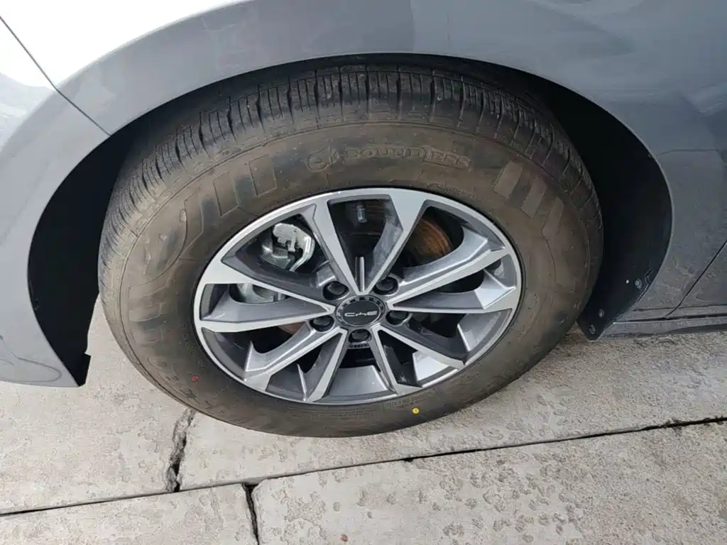 BYD Destroyer 05 2025 2024 Glory Edition DM-i 55KM Luxury