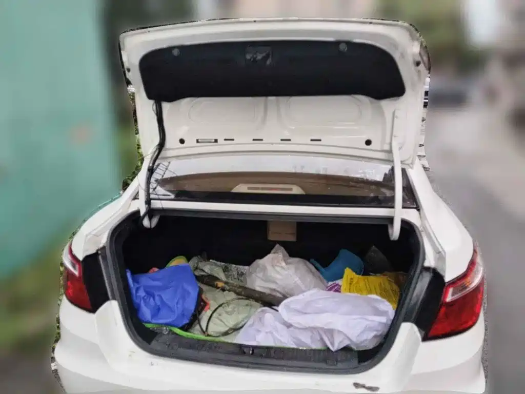 Фото 5 - Changan Eado