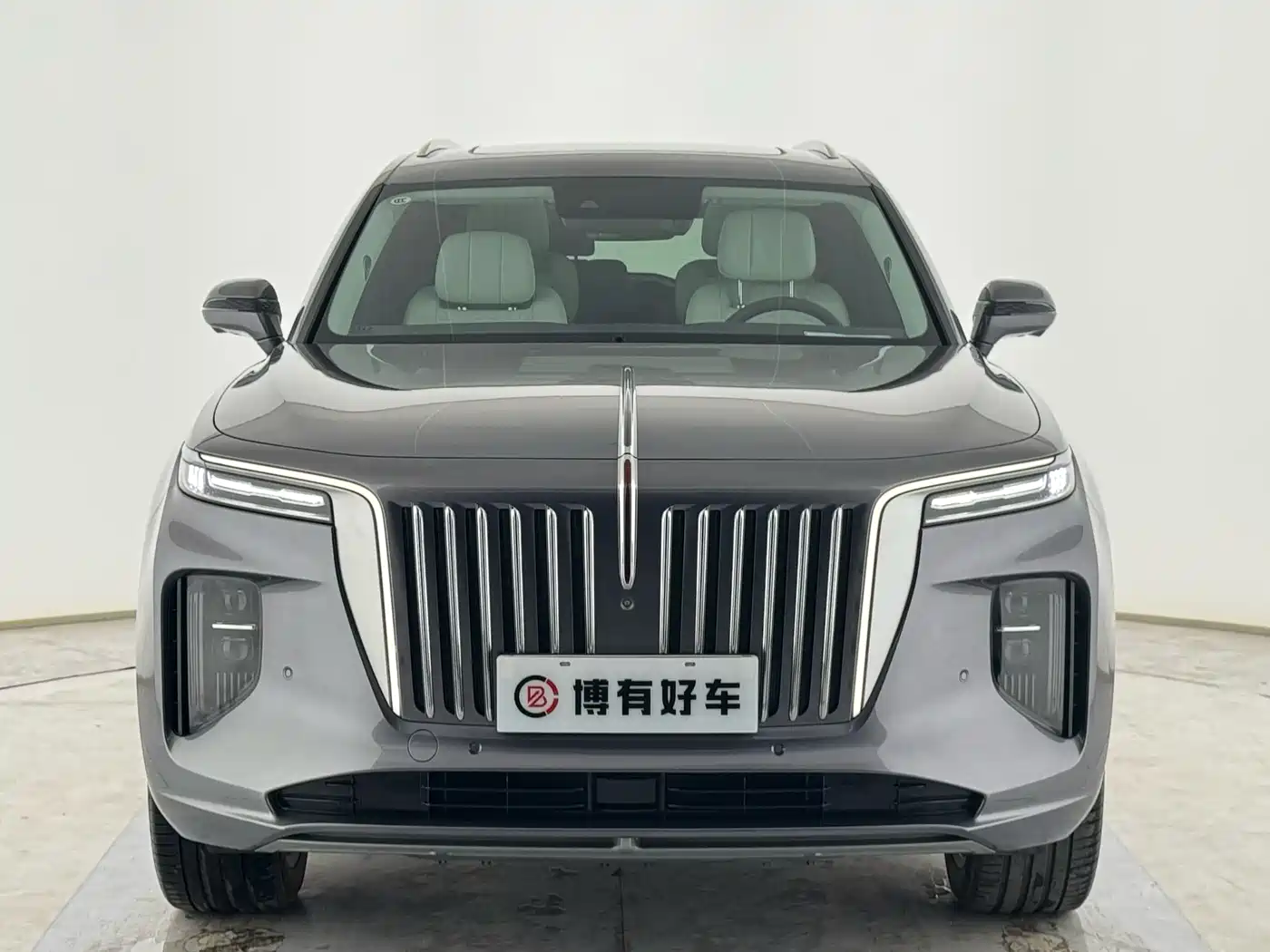 Hongqi E-HS9 2023 2021 460km Flagship Comfort 6-seater