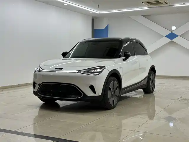 smart Elf #1 2024 Premium Edition