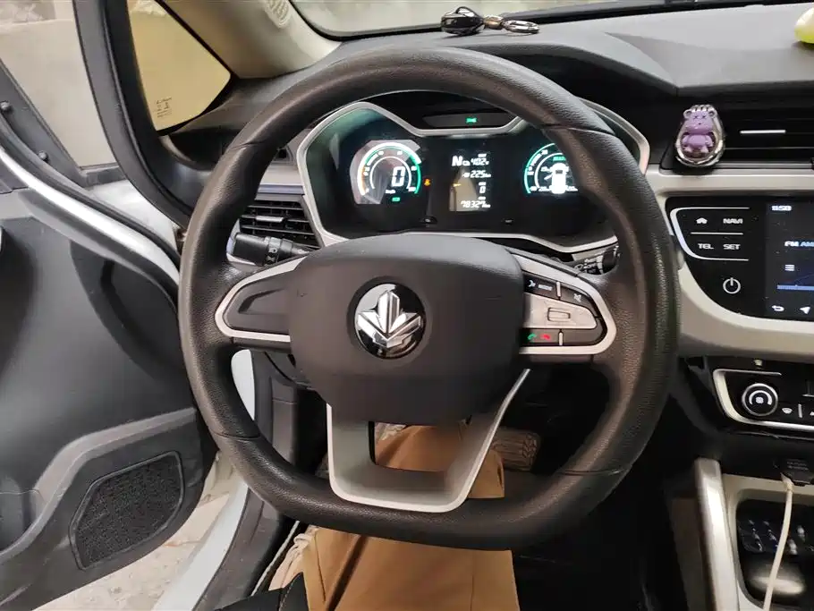 RUILAN AUTOMOBILE MAPLE LEAF 30X