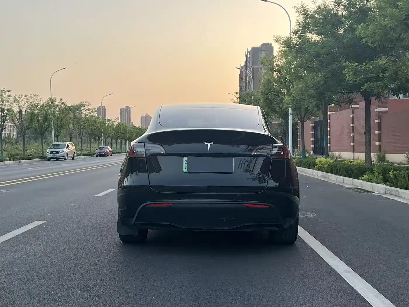 TESLA MODEL Y