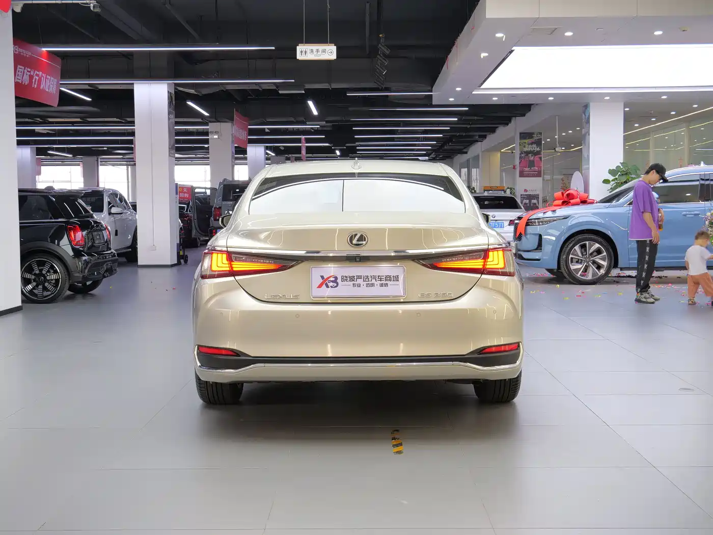 Lexus ES 2020 Model 260 Excellence Edition China V фото 19