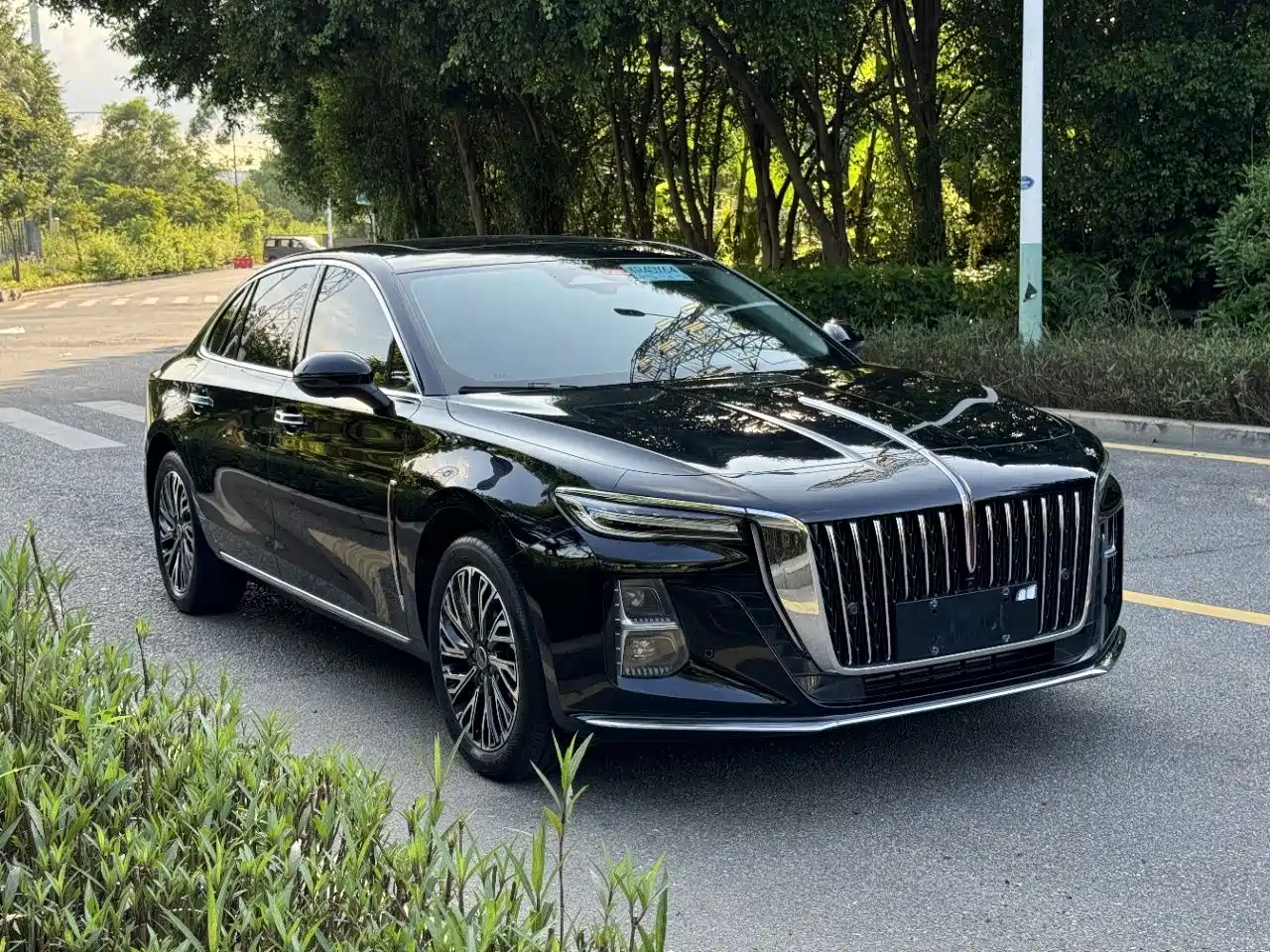 صورة 3 - Hongqi H5