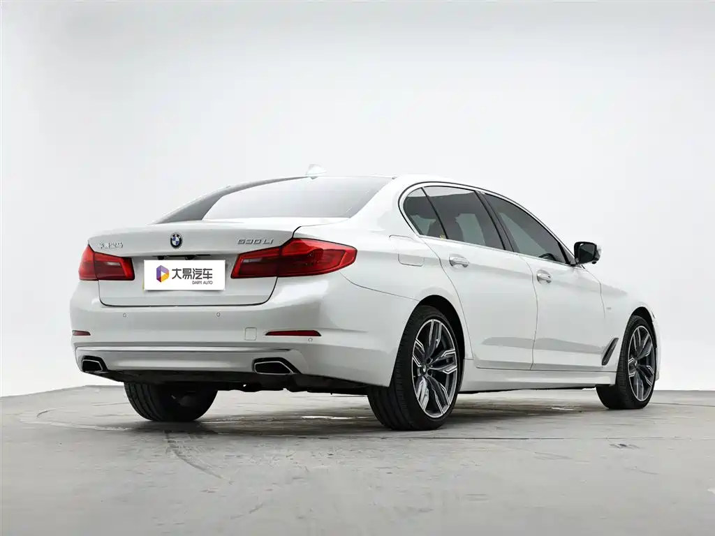 BMW 5 Series 2018 530Li Leading Luxury Package фото 3
