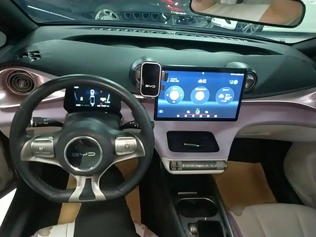 BYD Dolphin 2021 2021 Model 405km Fashion Edition