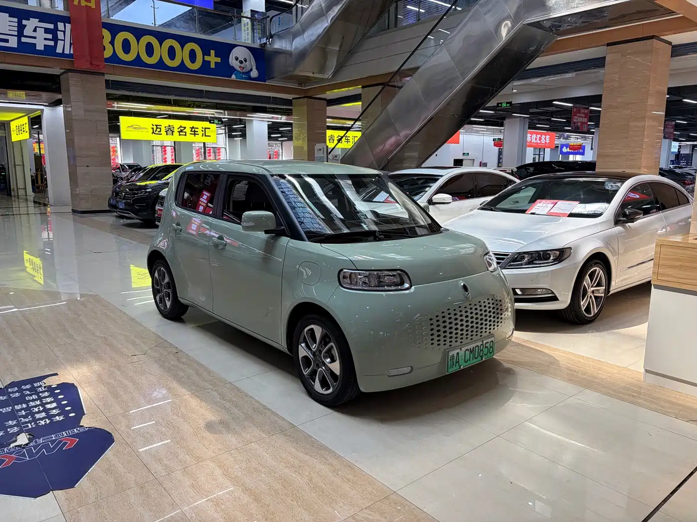 Ora White Cat 2021 2022 Upgraded 305km Luxury (NMC)