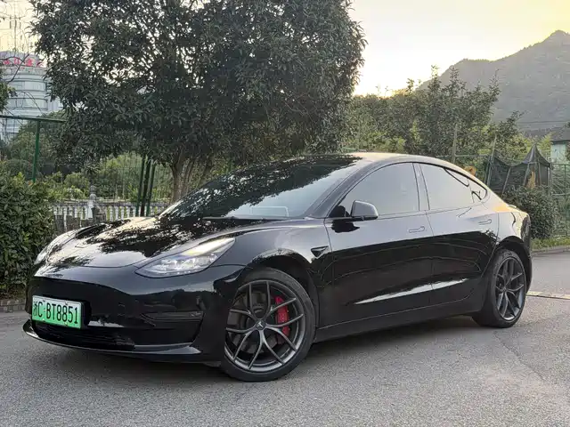 Tesla Model 3 Performance, высокопроизводительный полный привод