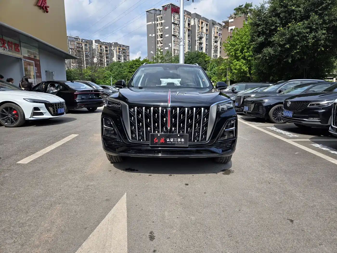 Hongqi HS5 2025 2.0T 2WD Qixiang Pro фото 2